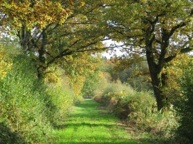 Balade d'automne