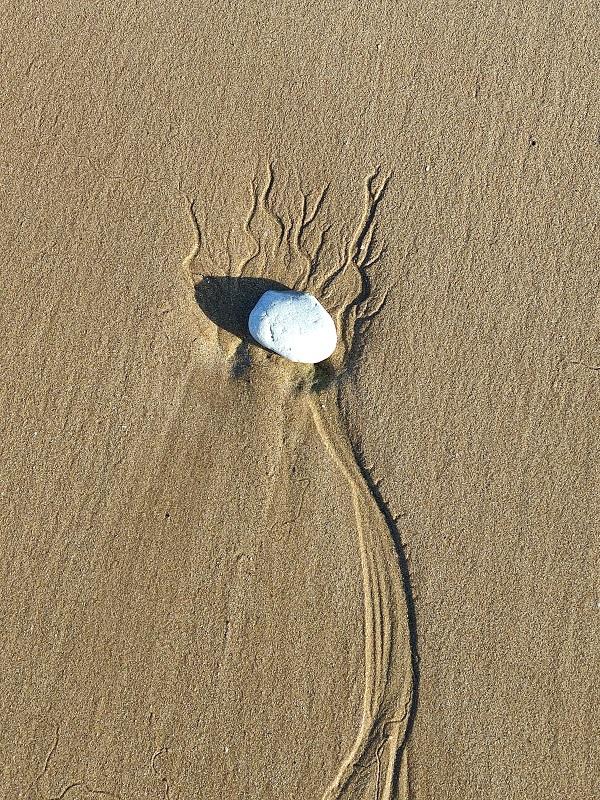 Fleur de sable